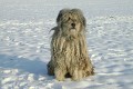 image_18_DSC00880